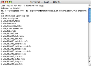cvs_checkout_vim.jpg