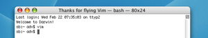 thanks_for_flying_vim.jpg
