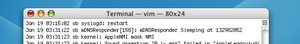thanks_for_flying_vim_notitle.jpg